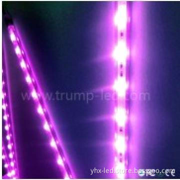 DC12V/24V smd 5050 led rigid strips Jewelry counter  lighting